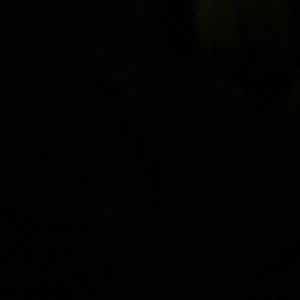 Meet your Posher, Billy